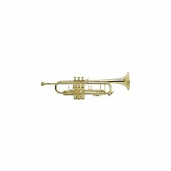 Top 10 ⭐ Bach Bach LT180-43 Stradivarius Professional Bb Trumpet ????