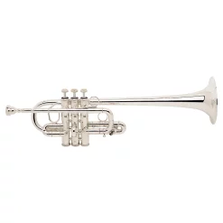 Best reviews of ⌛ Bach Bach 189 Stradivarius Series Eb/D Trumpet 189S Silver 🛒