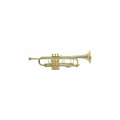 Deals ✔️ Bach Bach 180-72 Stradivarius Series Bb Trumpet 18072G Lacquer Gold Brass Bell ✨