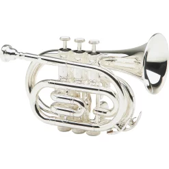 Coupon 😉 Allora Allora MXPT-5801 Series Pocket Trumpet Silver 🛒