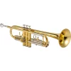 Best reviews of ???? Jupiter Jupiter JTR700 Standard Series Student Bb Trumpet JTR700 Lacquer ❤️ -Getzen shop J20577000002000 00 1400x1400 1