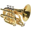 Wholesale ???? Phaeton PHTP-3000 Custom Series Bb Pocket Trumpet Gold Lacquer ???? 1 Wholesale ???? Phaeton PHTP-3000 Custom Series Bb Pocket Trumpet Gold Lacquer ???? -Getzen shop K48232000001000 00 1400x1400 1