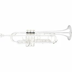 Best reviews of 🔔 Eastman ETR824S Professional Series Bb Trumpet Silver Yellow Brass Bell 👏