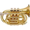 New ???? Stagg Stagg WS-TR245S Series Bb Pocket Trumpet Clear Lacquer ???? 1 New ???? Stagg Stagg WS-TR245S Series Bb Pocket Trumpet Clear Lacquer ???? -Getzen shop L91880000001000 00 1400x1400 1