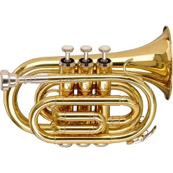 New ???? Stagg Stagg WS-TR245S Series Bb Pocket Trumpet Clear Lacquer ????